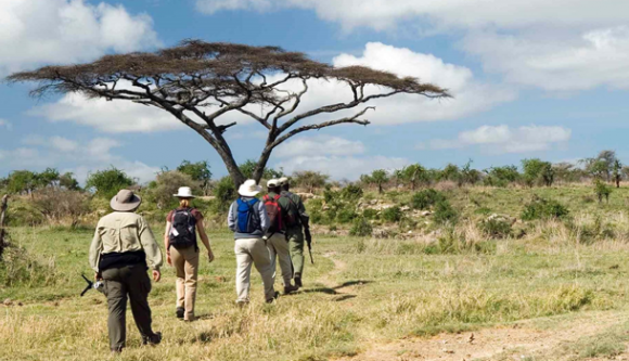 Ethiopia to Restart Tourism