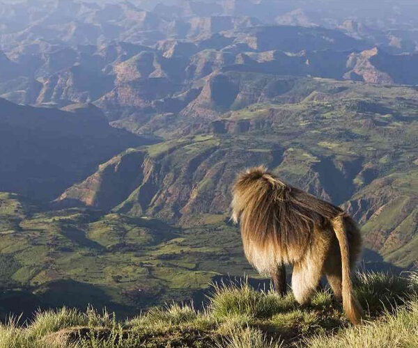 Simien National Park